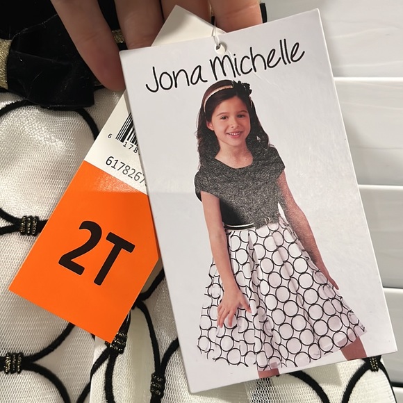 NWT Jona Michelle 2T Velvet and tulle Toddler Dress - Picture 4 of 9